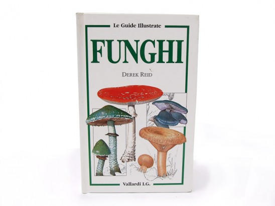  - funghi